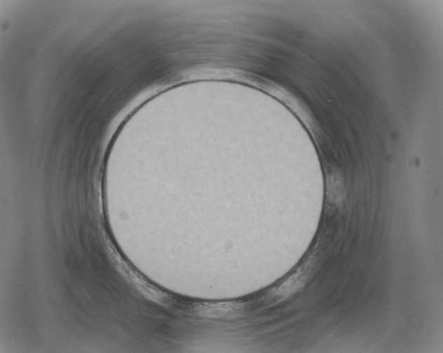 X0000079581150200612221424