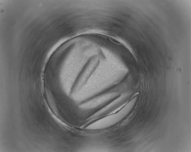 X0000079581151200612221424