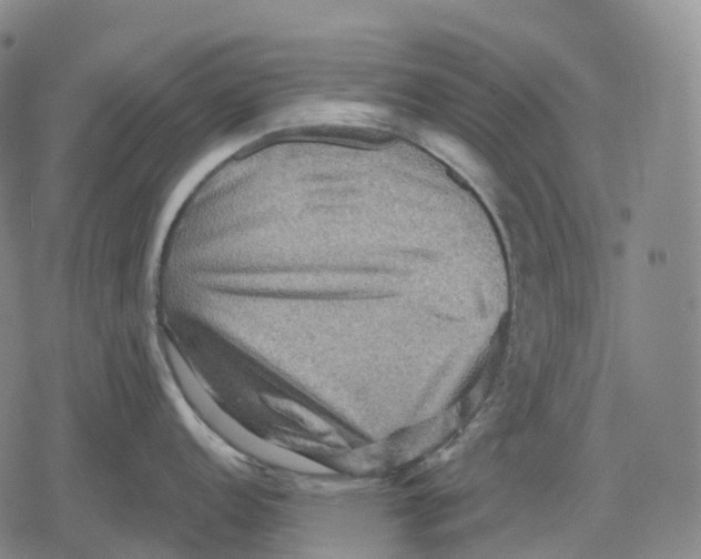 X0000079581152200612221424