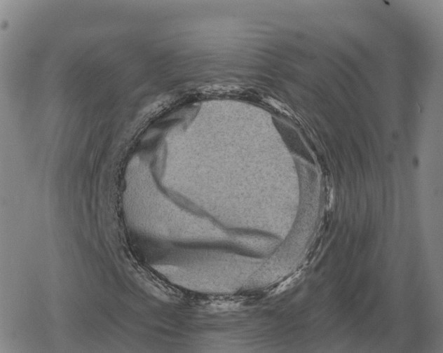 X0000079581153200612221423