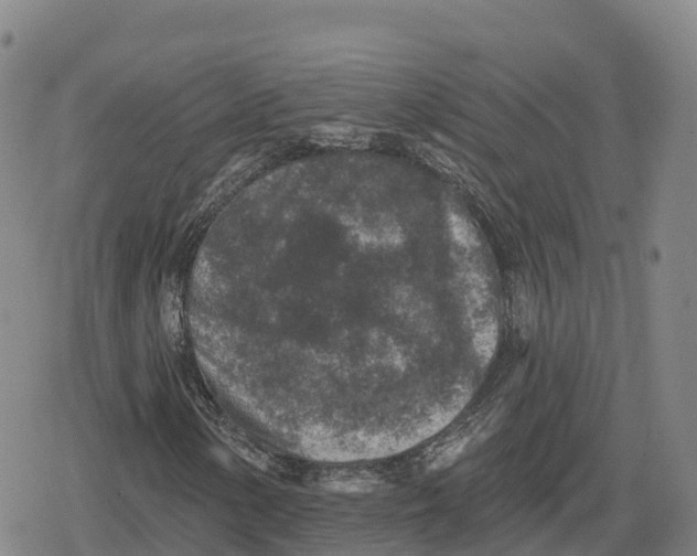 X0000079581154200612221423