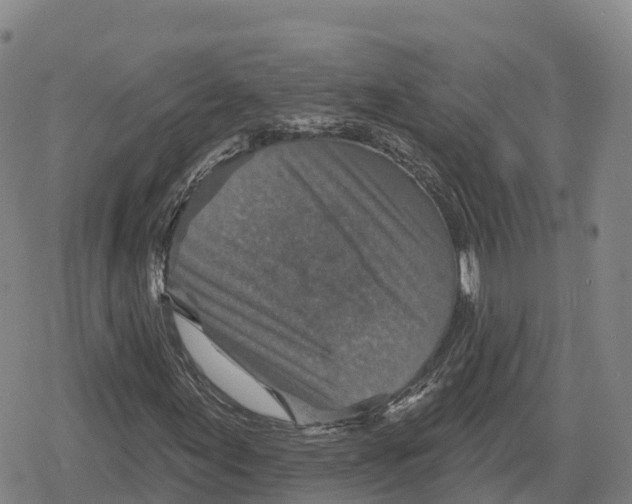 X0000079581155200612221423