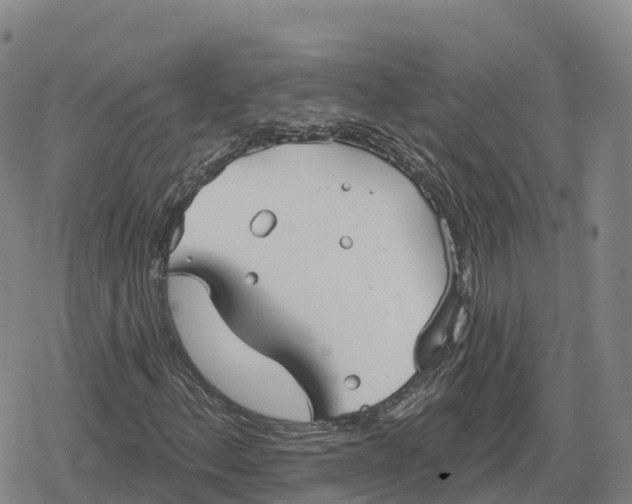 X0000079581156200612221423