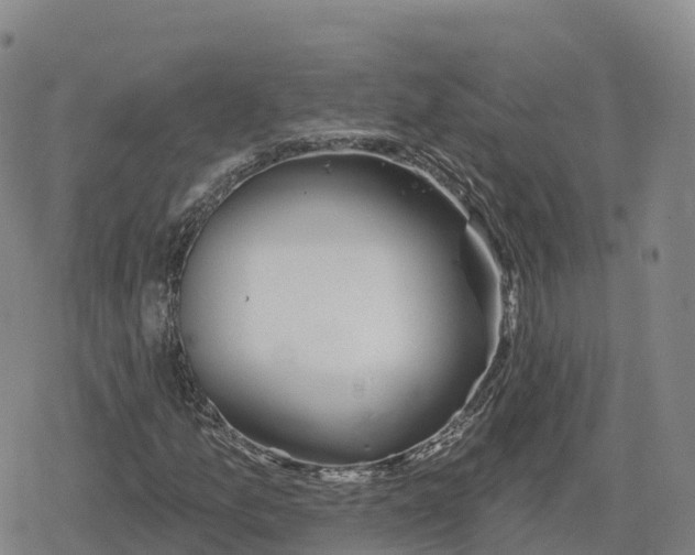 X0000079581157200612221423