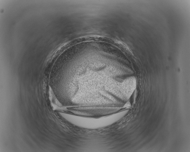 X0000079581159200612221423