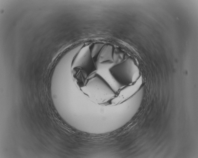 X0000079581160200612221423