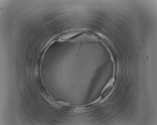 X0000079581161200612221423