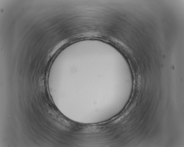 X0000079581162200612221423