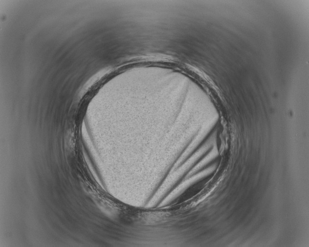 X0000079581163200612221423