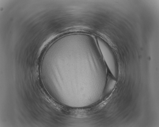 X0000079581164200612221423