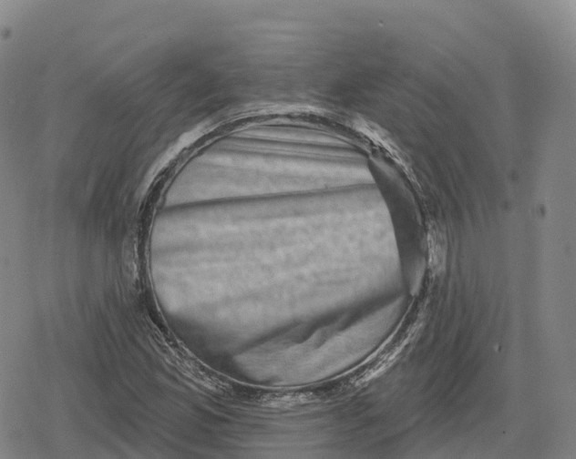 X0000079581165200612221423