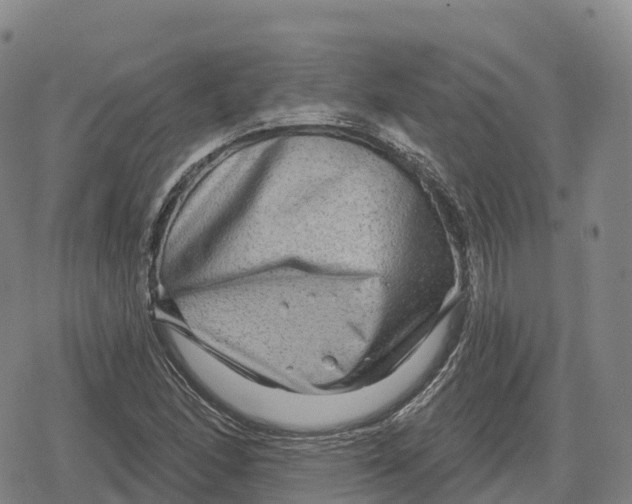 X0000079581166200612221423