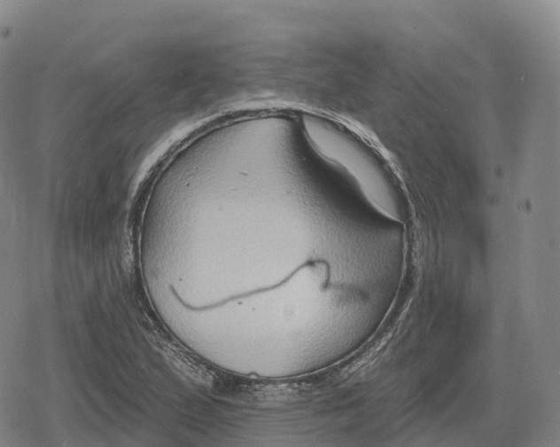 X0000079581167200612221423