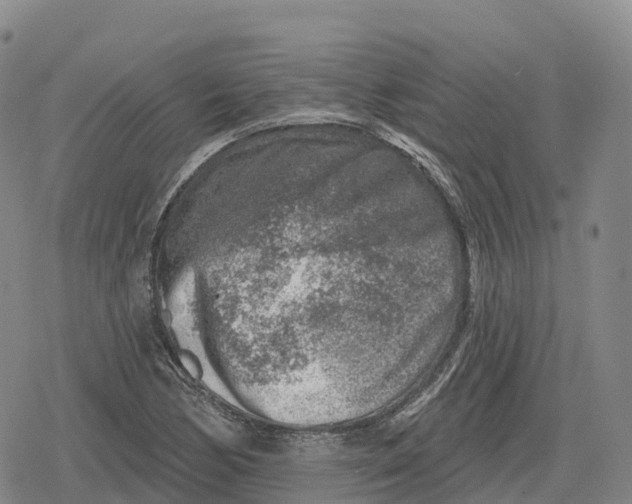 X0000079581170200612221423