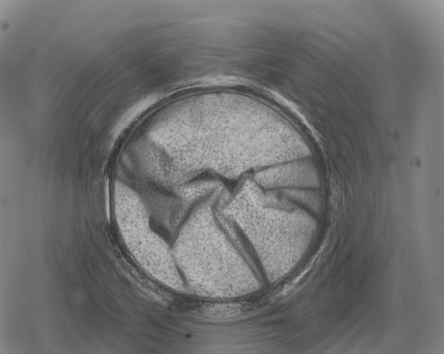 X0000079581171200612221423