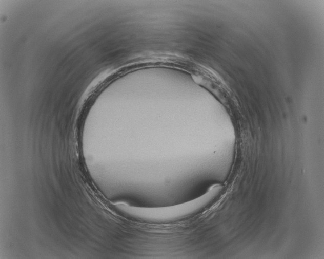 X0000079581172200612221423