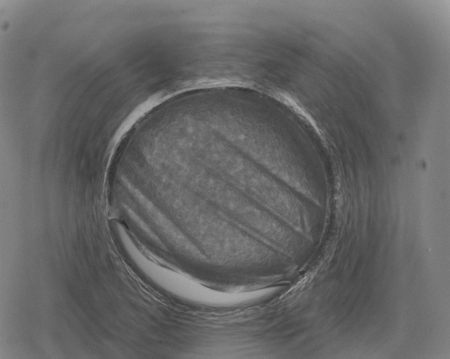 X0000079581173200612221423