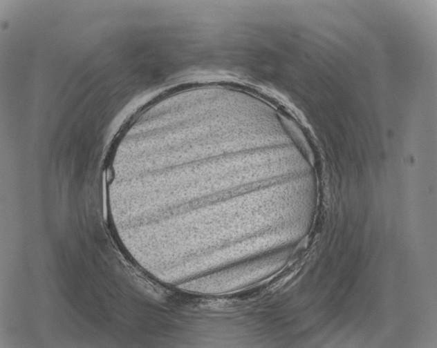 X0000079581175200612221423