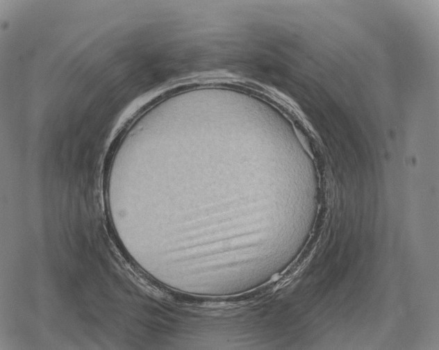 X0000079581176200612221423