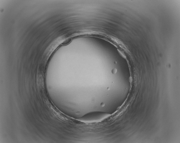 X0000079581177200612221423