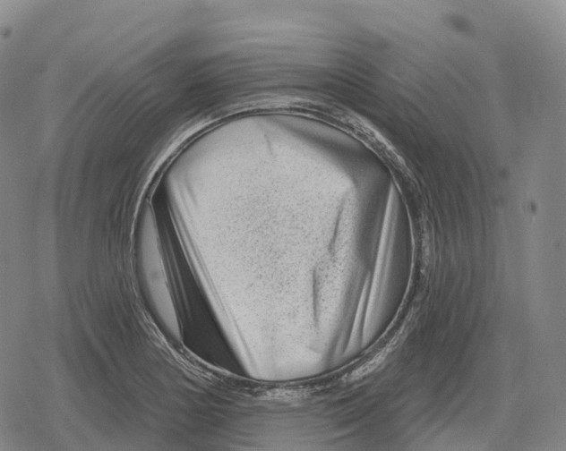 X0000079581178200612221423