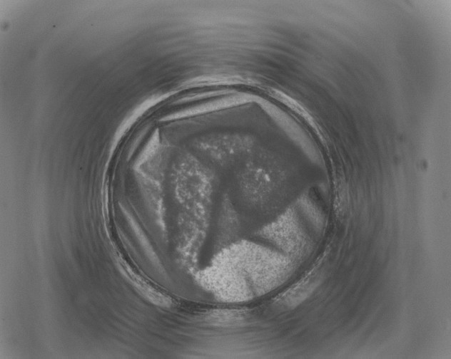 X0000079581179200612221423