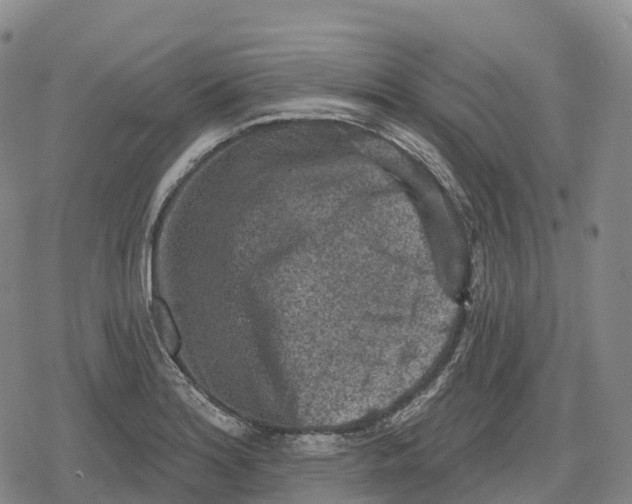 X0000079581180200612221423