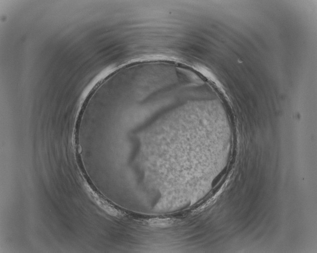 X0000079581181200612221423