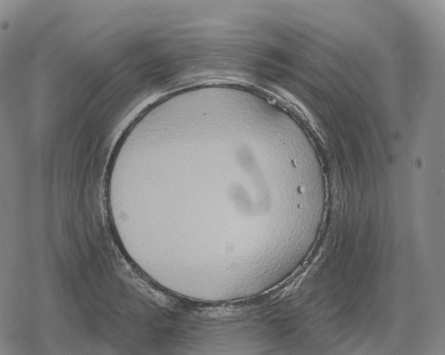 X0000079581182200612221423