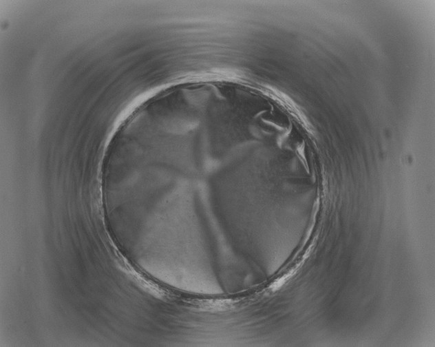 X0000079581184200612221423