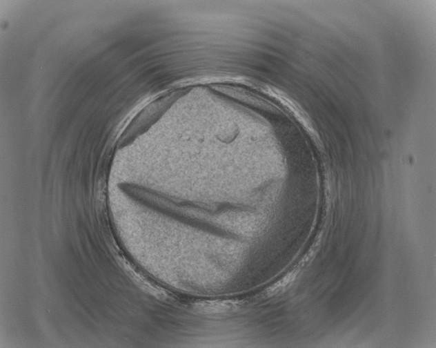 X0000079581185200612221423