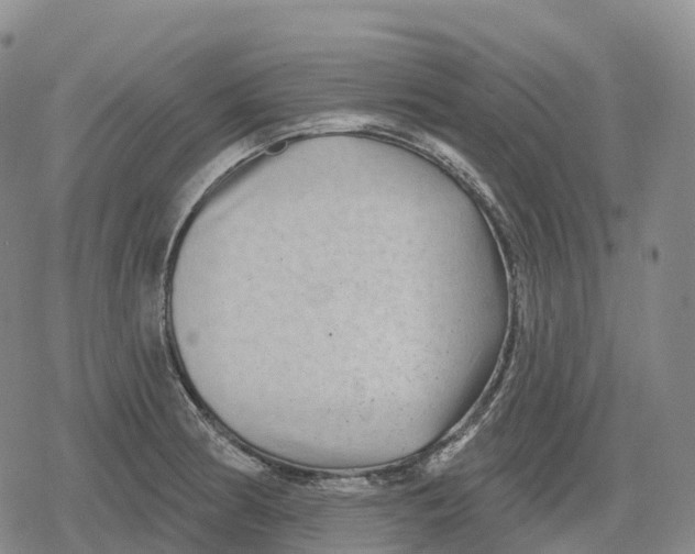 X0000079581186200612221423