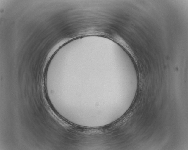 X0000079581187200612221423