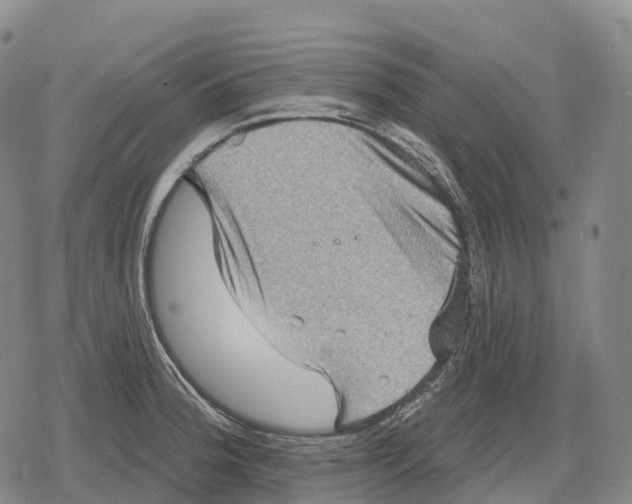 X0000079581188200612221423