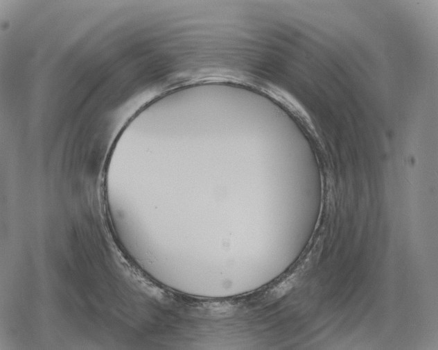 X0000079581190200612221423