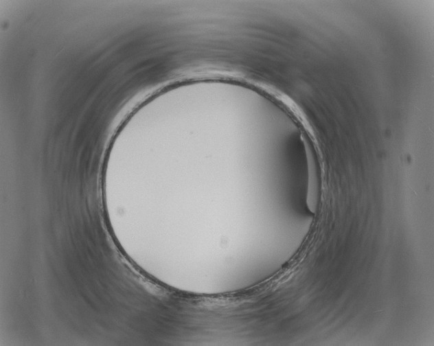 X0000079581191200612221423