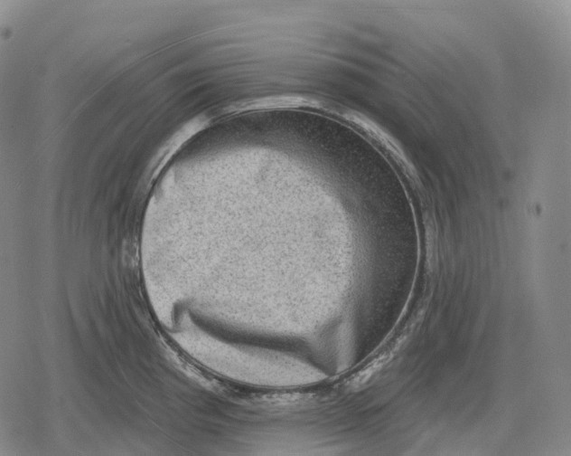 X0000079581193200612221423