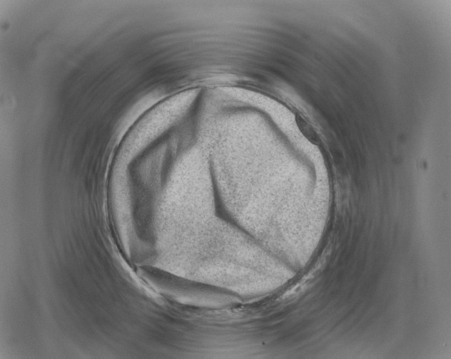 X0000079581194200612221423