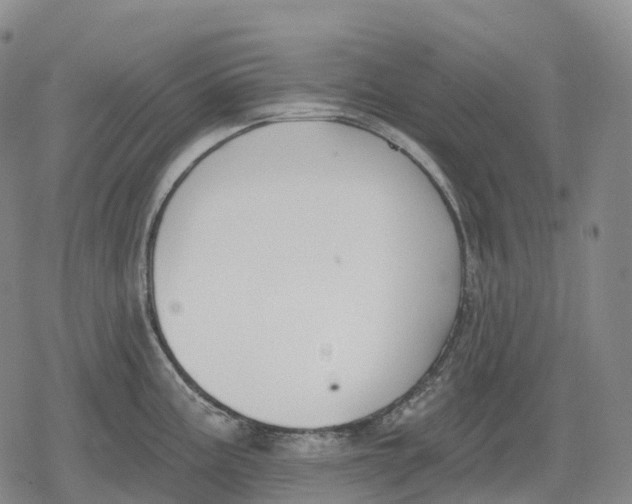 X0000079581195200612221423