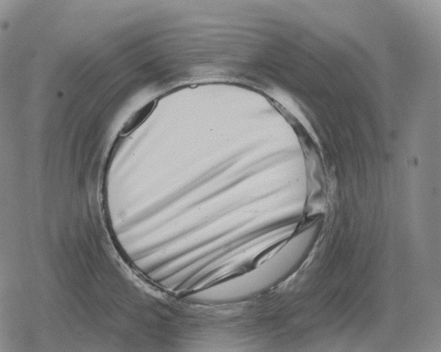 X0000079581197200612221423