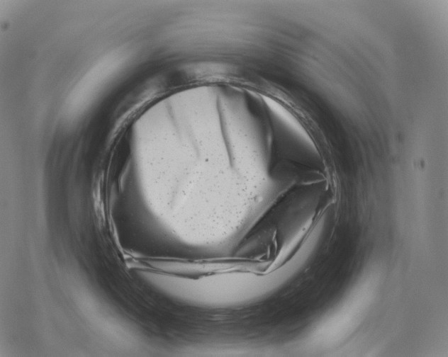 X0000079581198200612221423