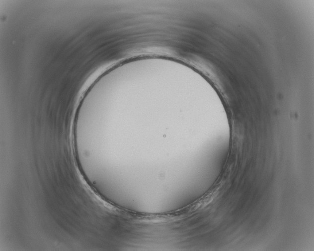 X0000079581199200612221423