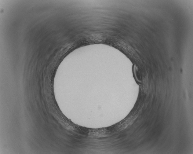 X0000079581201200612221422