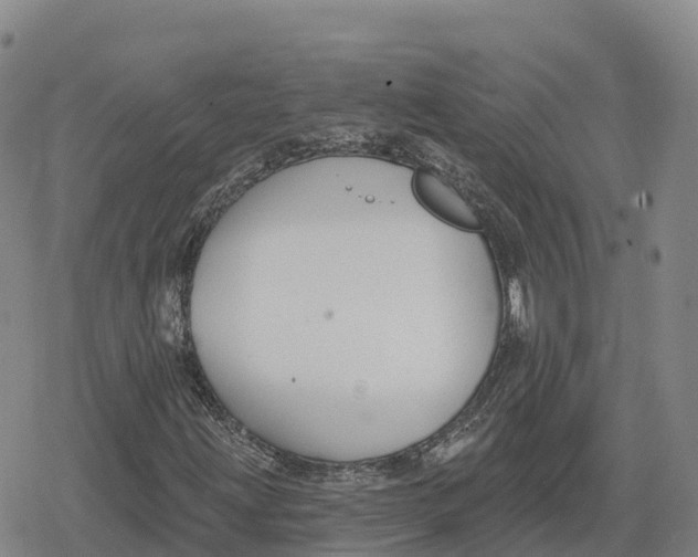 X0000079581203200612221422