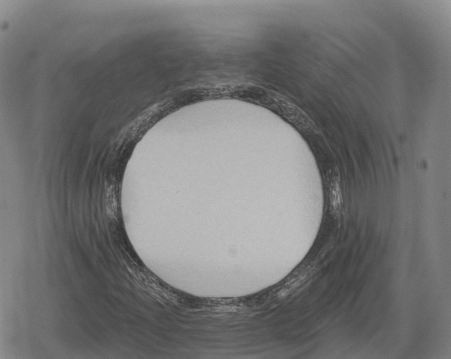 X0000079581204200612221422