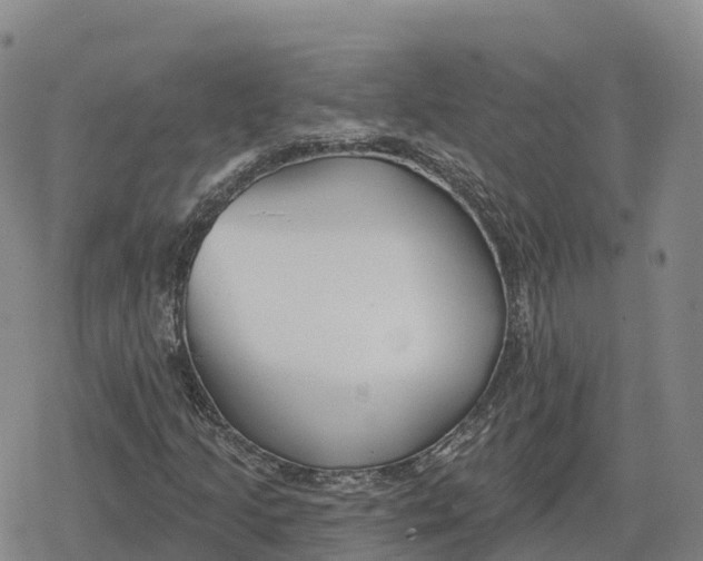 X0000079581205200612221422