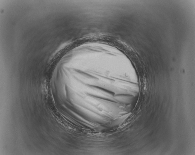 X0000079581206200612221422