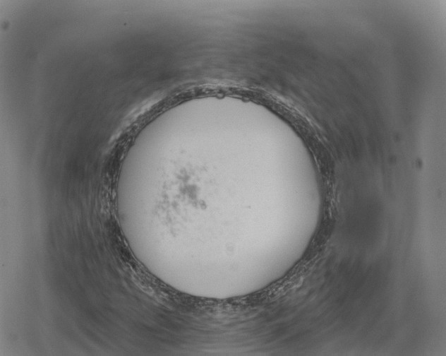 X0000079581207200612221422