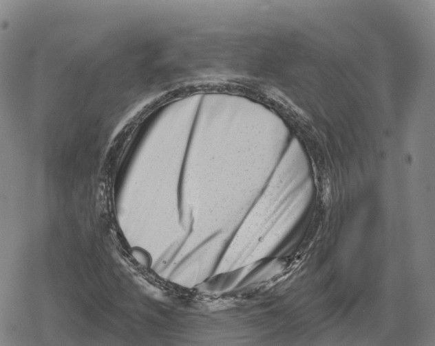 X0000079581208200612221422