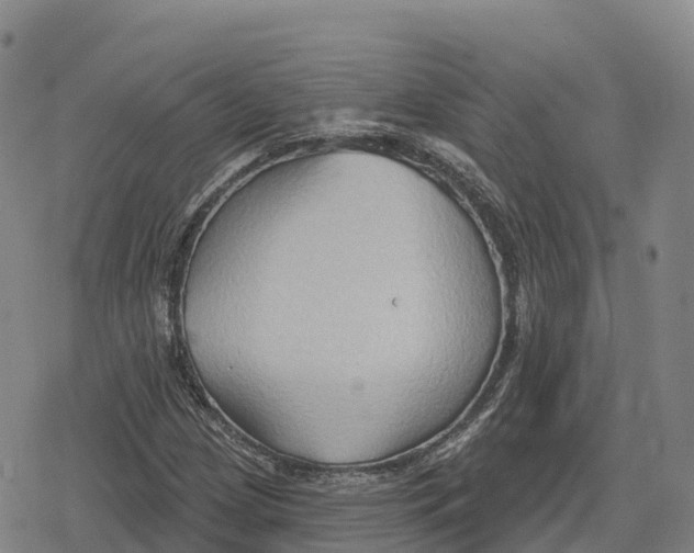 X0000079581209200612221422